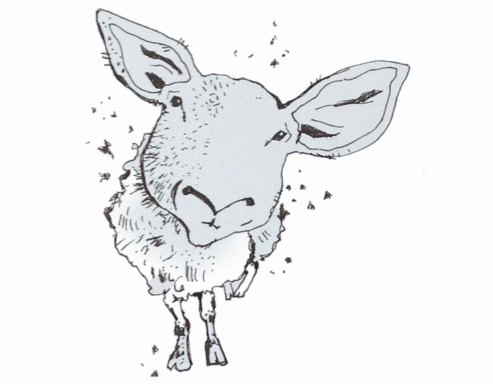 Illustration